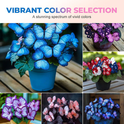 🦋 Verspielte Blumensamen in Schmetterlingsform ✨